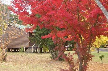 Madison'S Mountain Retreat Hotel Bilpin Buitenkant foto
