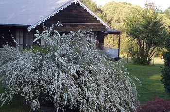 Madison'S Mountain Retreat Hotel Bilpin Buitenkant foto